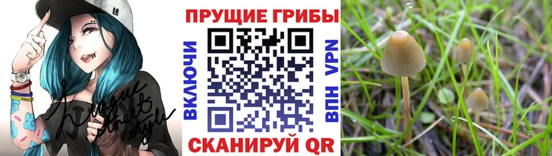 Псилоцибиновые грибы ЛСД  цены   Дыгулыбгей 