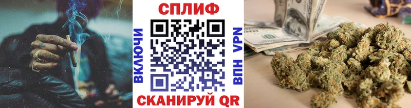 Каннабис планчик  Дыгулыбгей 
